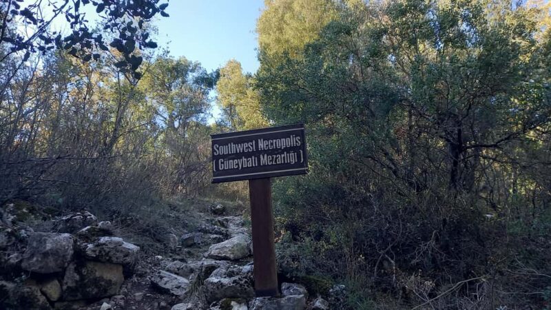 Daily Termessos Ancient City Archaeological Tour - Visiting Perge and Its Roman Baths