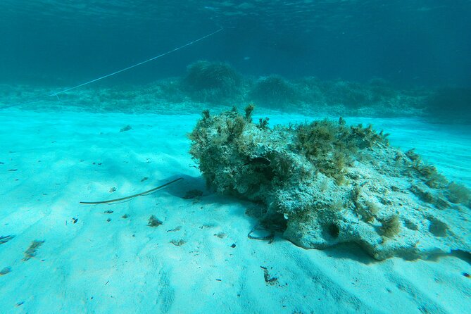 Daily tour in dinghy Favignana and Levanzo - Snorkeling at Cala Rotonda and Ulisse Arch