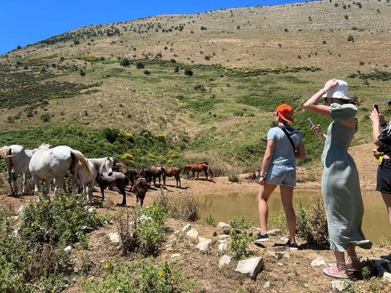 Daily Trip To:Blue Eye,Monastery,Gjirokaster&Lekursi Castle - Key Points