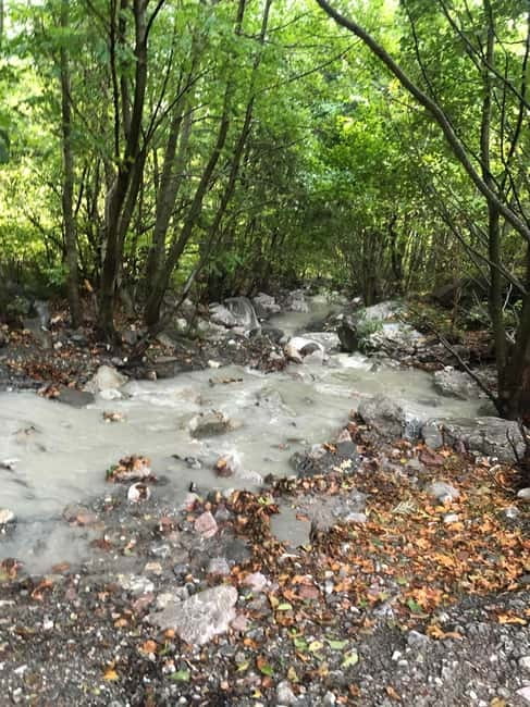 Dajti Cable Car and Shengjergj Waterfall Tour with Lunch - From Tirana to Dajti Mountain: A 25-Minute Cable Car Experience