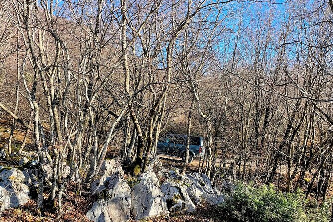 Dajti Mountain & Shengjergj Waterfall Day Trip on Land Rover - Relaxing Break at Gurra e Perrise Restaurant