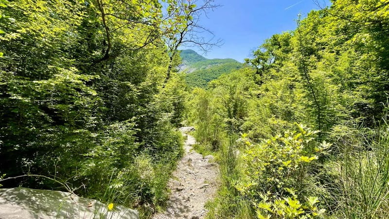 Dajti Mountain & Shengjergj Waterfall Day Trip on Land Rover - Why This Tour Stands Out