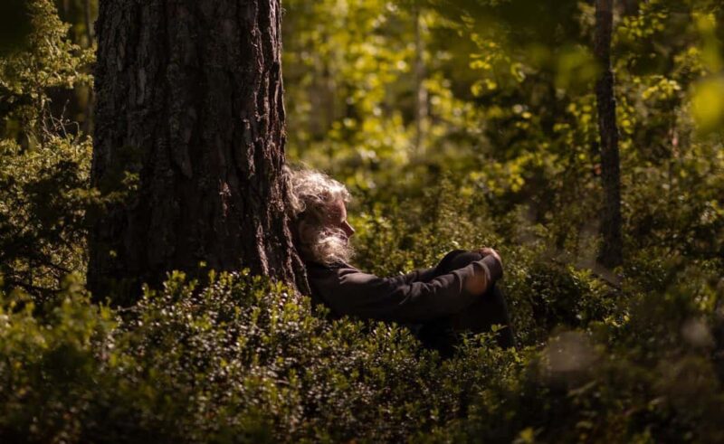 Dala-Floda: Forest Bathing Guided Meditative Walk - Key Points