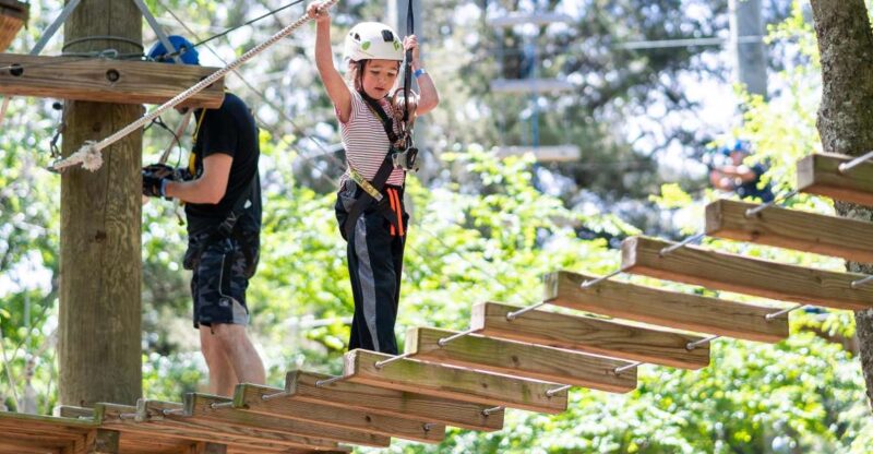 Dallas: Aerial Adventure Course Park Pass - Value for Money and Booking Flexibility