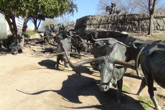 Dallas and Fort Worth City Sightseeing Tour Small-Group - Exploring Deep Ellum and Uptown Dallas