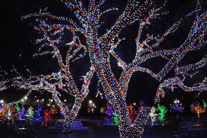 Dallas Christmas Lights Tour - Stops at Local Landmarks and Neighborhoods