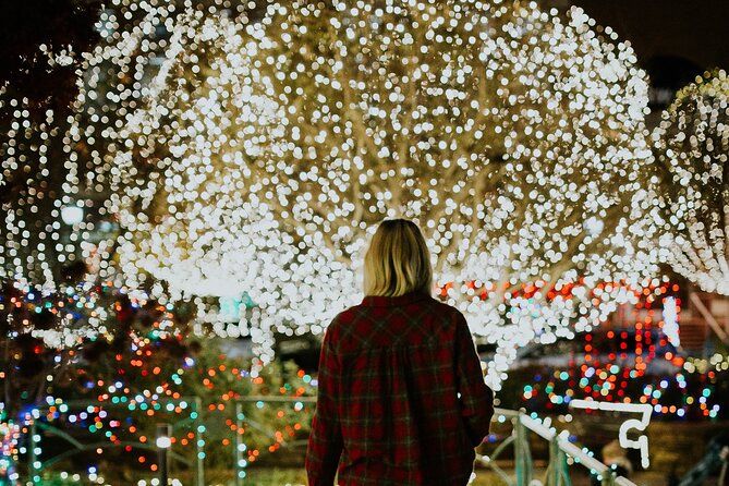 Dallas Christmas Lights Tour - Transportation and Group Size Details