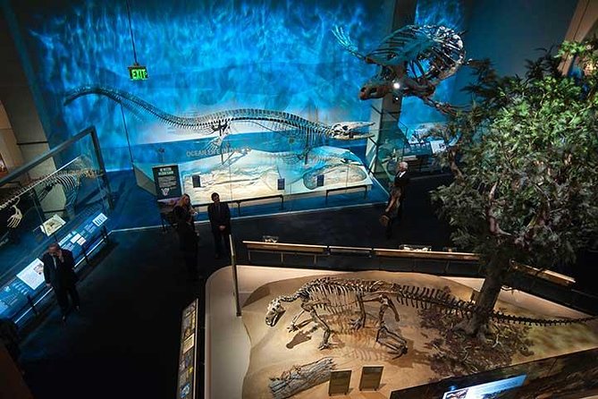 Dallas CityPASS® - Practicalities and Accessibility