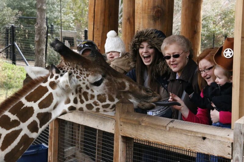 Dallas CityPASS®: Save up to 49% at 4 Top Attractions - Logistics and Accessibility