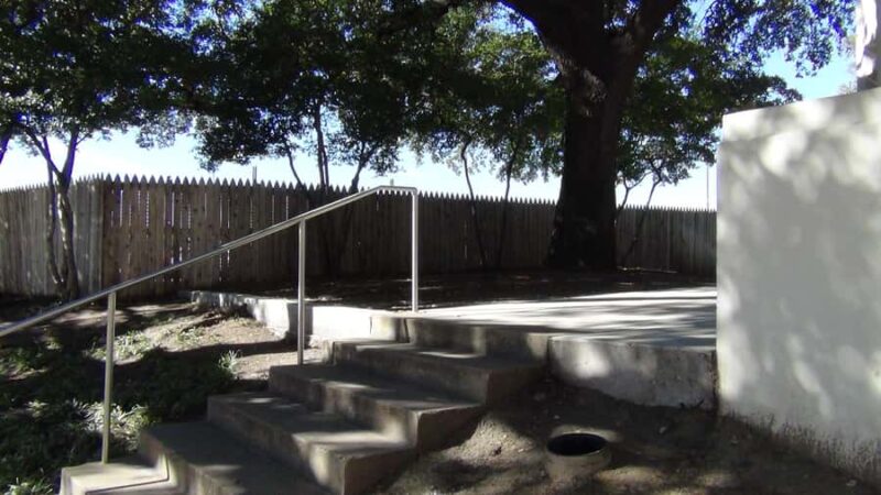 Dallas: JFK Assassination Highlights Walking Tour - Experience Logistics and Comfort