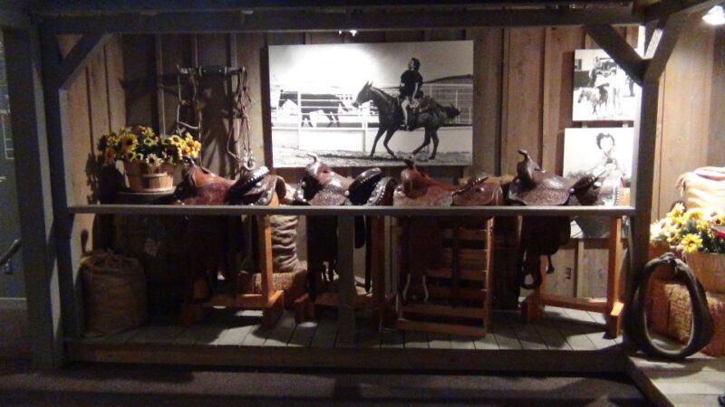 Dallas: Southfork Ranch, Dallas Highlights, and JFK Tour - Transport and View of Texas Longhorns and Quarter Horses