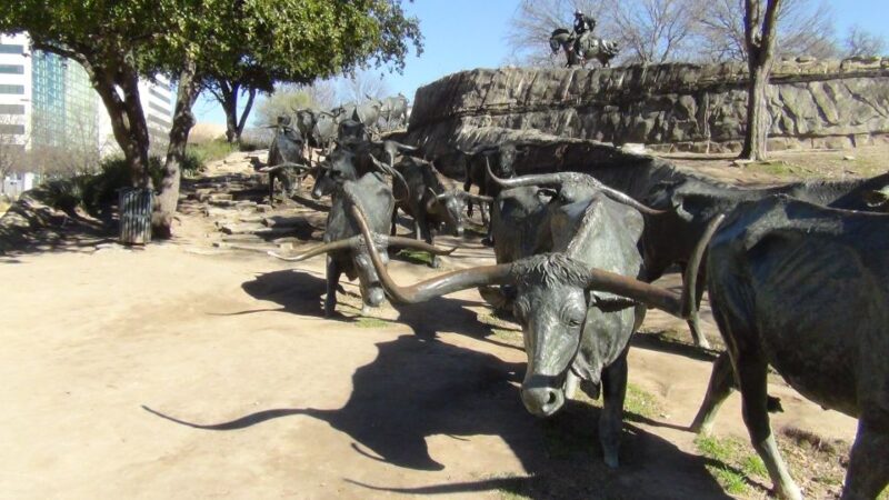 Dallas: Welcome to Dallas 3-Hour Small Group Tour by Van - Key Points