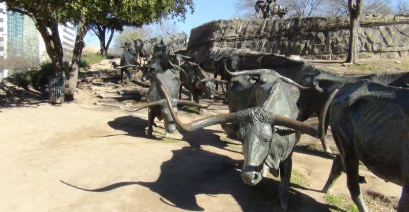 Dallas: Welcome to Dallas 3-Hour Small Group Tour by Van - Highlights of the Guides Narration and Group Atmosphere