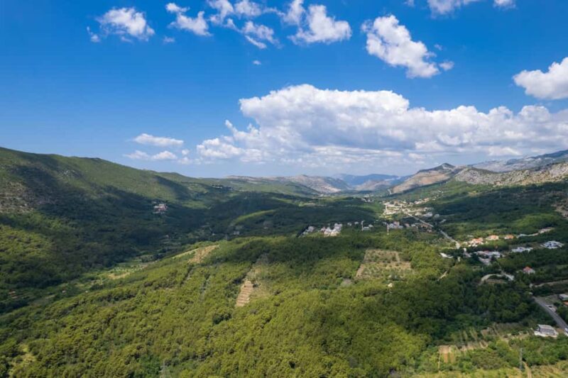 Dalmatia: Farm Experience with Cooking Class & Tastings - Key Points