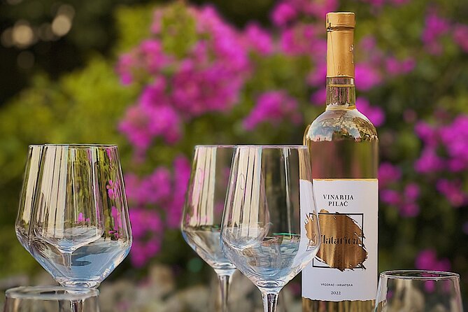 Dalmatian wine tasting by Bottiglia wine & deli - Pricing and Cancellation Policy