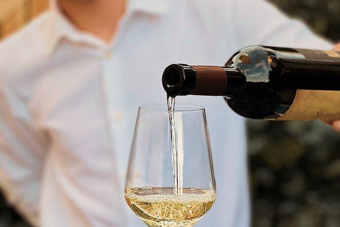 Dalmatian wine tasting by Bottiglia wine & deli - Comparing Similar Experiences in Split