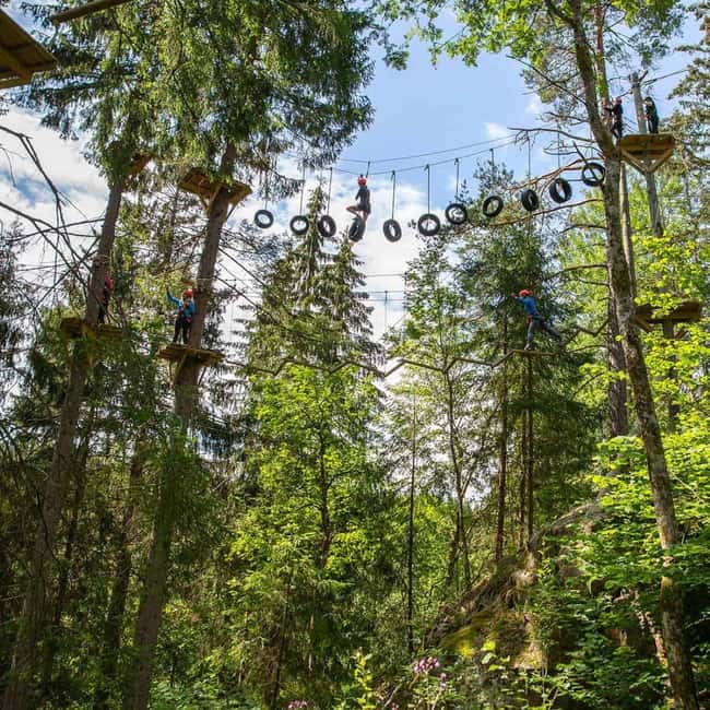 Dals Långed: High Ropes Adventure for Adults and Kids - Key Points