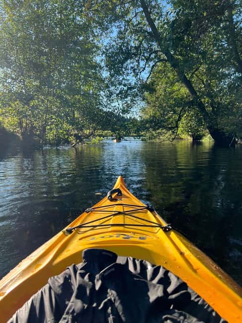 Dals Långed: Steneby River Kayaking Tour - Explore the Scenic Steneby River by Kayak in Dals Långed