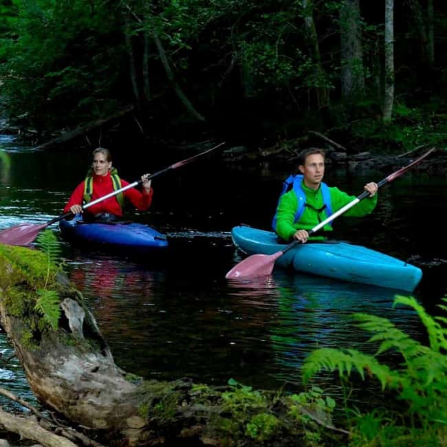 Dals Långed: Steneby River Kayaking Tour - Navigating the Whitewater and Natural Obstacles of Stenebyälven