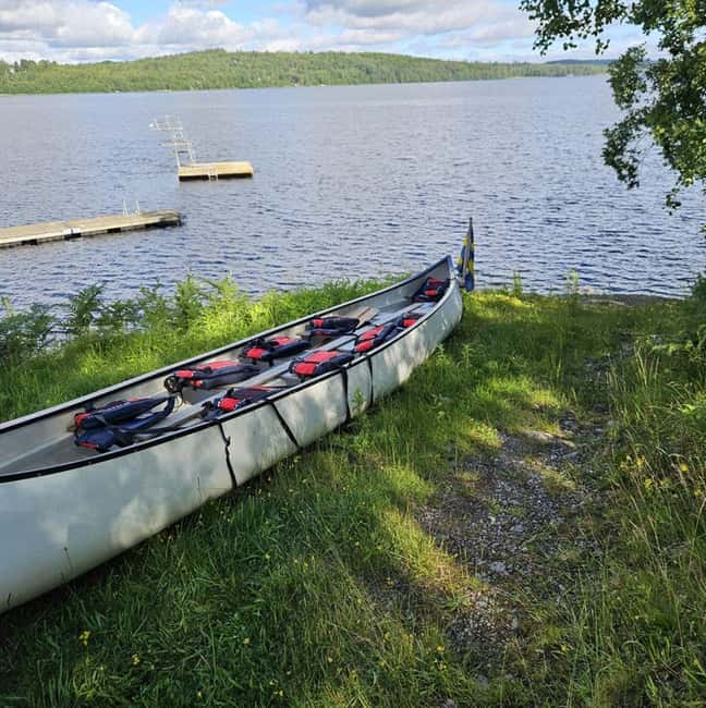 Dals Långed: Steneby River Kayaking Tour - Wildlife Encounters: Beavers and Sweet Water Clams