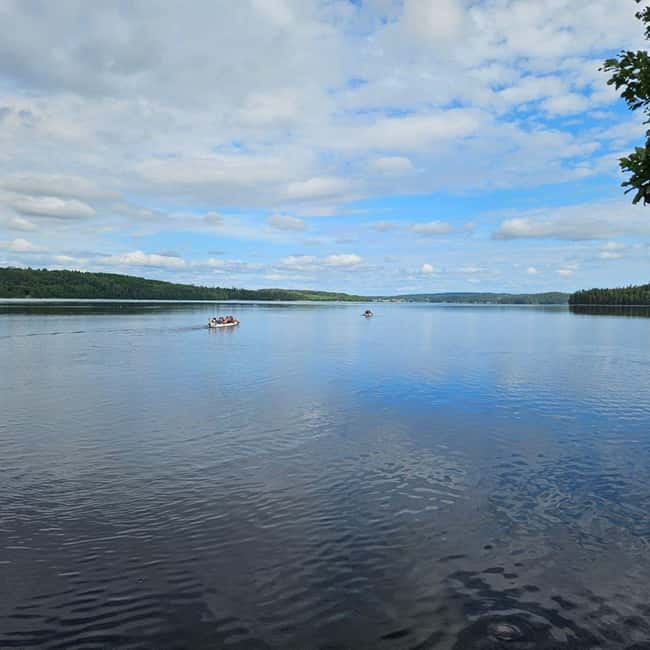 Dals Långed: Steneby River Kayaking Tour - Practical Details: What to Bring and What Not to Bring