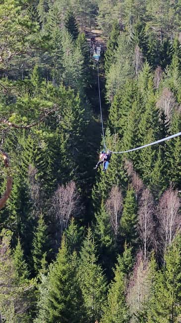 Dals Långed: Zipline Adventure at Steneby Gård - Key Points