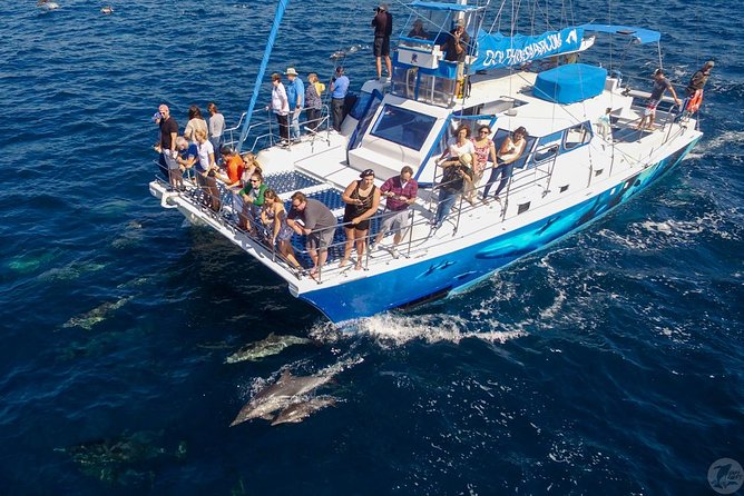 Dana Point Dolphin and Whale Watching Eco-Safari - The Crew: Experts Guiding Your Marine Adventure