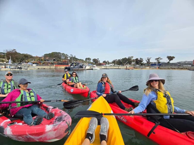 Dana Point: Kayak and Hike with Sea Cave and Tide Pools - Kayaking Through Dana Point Harbor and Sea Lion Watching