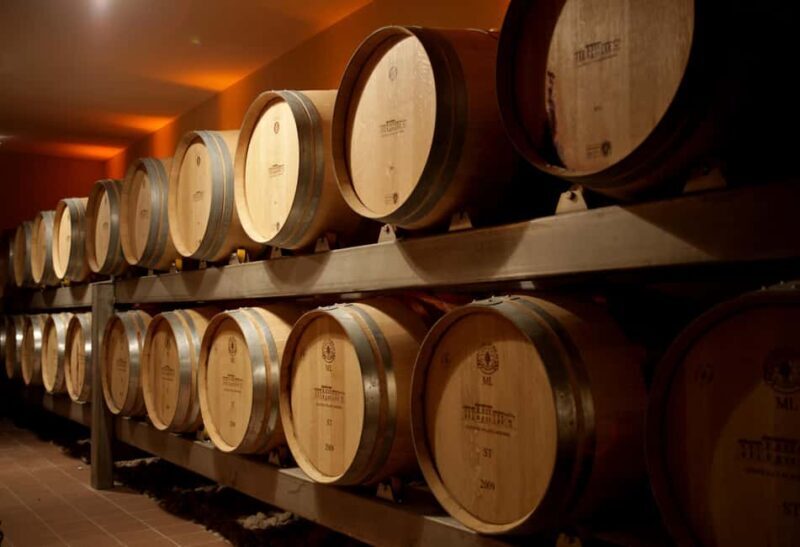 "Dans le Nez du Vin" tour Aromas & Faults in Saint Emilion - Frequently Asked Questions