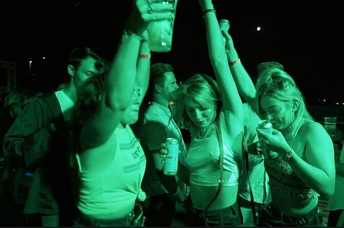 Danube Beat Boat Party Cruise Ticket - Practical Tips and Considerations