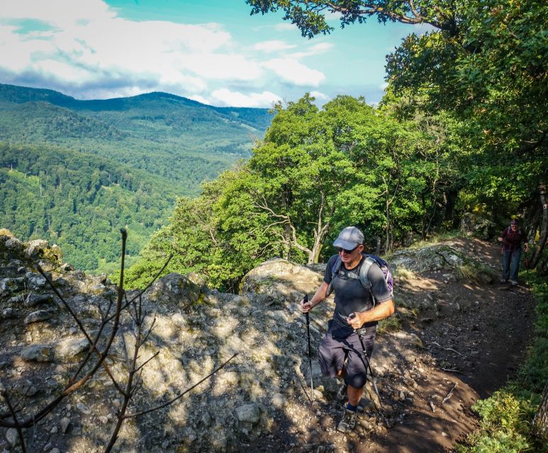 Danube Bend: Full-Day Hiking Tour from Budapest - Starting Point in Dömös: The Gateway to Hungarian Nature