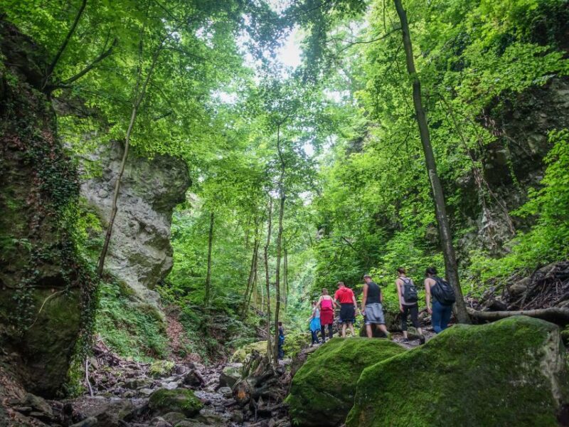 Danube Bend: Full-Day Hiking Tour from Budapest - Descending Through a Wild and Untouched Valley