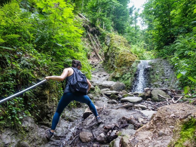 Danube Bend: Full-Day Hiking Tour from Budapest - The Guides: Knowledgeable and Supportive