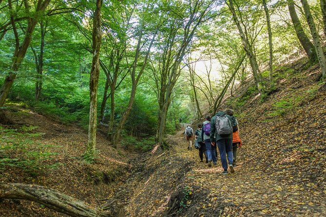 Danube Bend Hiking and Kayaking - Paddling Past Visegrád Castle and Scenic Mountains