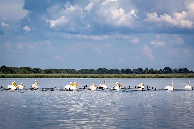Danube Delta - 2-Days Shared Tour from Bucharest - From the Coastal City to the Natural Environment of the Danube Delta