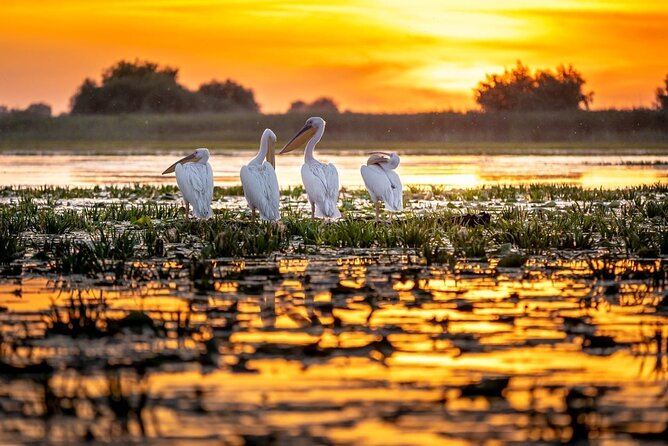 Danube Delta and Black See - 2 Days Private Tour from Bucharest - What’s Included and What’s Not