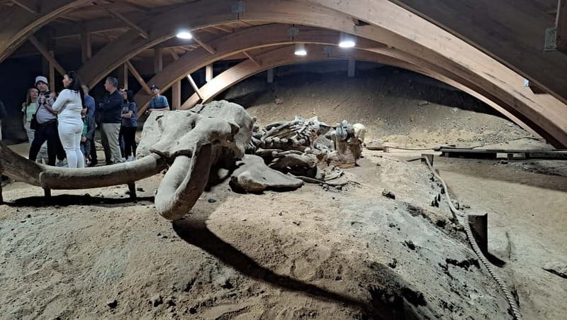 Danube fortresses and Roman archeological park - Who Should Join This Danube Fortress Tour