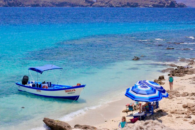 Danzante Island and Snorkel Tour from Villas del Palmar Hotel - Key Points