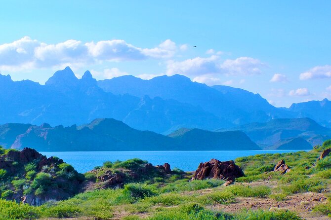 Danzante Island and Snorkel Tour from Villas del Palmar Hotel - Marine Wildlife Encounters and Marine Park Highlights