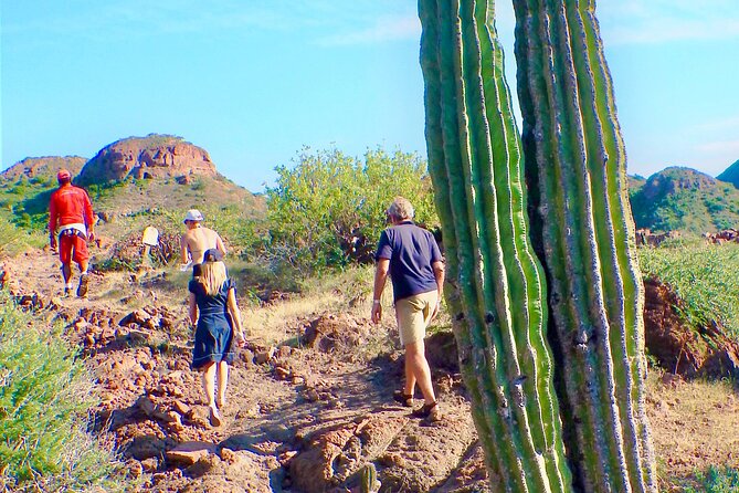 Danzante Island and Snorkel Tour from Villas del Palmar Hotel - Relaxing on Private Beaches and Enjoying Local Snacks