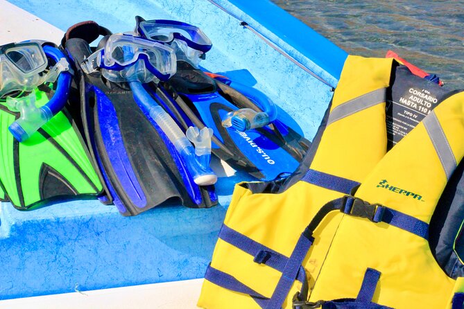 Danzante Island and Snorkel Tour from Villas del Palmar Hotel - The Experience with Loreto Baja Tours Guides and Crew