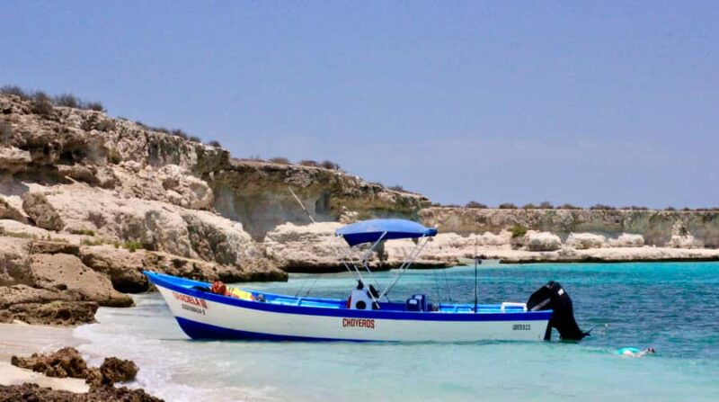 Danzante Island & Snorkel Tour from Villa del Palmar Hotel - Lunch and Beach Relaxation on Isla Danzante