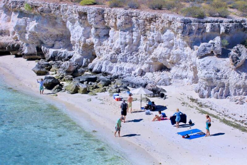 Danzante Island & Snorkel Tour from Villa del Palmar Hotel - Additional Boat Cruise and Wildlife Viewing Opportunities