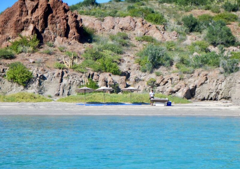 Danzante Island & Snorkel Tour from Villa del Palmar Hotel - Why This Tour Stands Out in Loreto