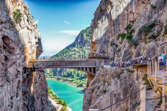 Dare to take a walk along the Caminito del Rey path private tour from Malaga - Who Should Book This Tour