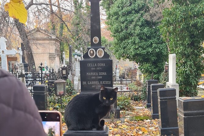 Darkside Tour of Bucharest - small group - The Emotional Impact of Piaka Revolukiei