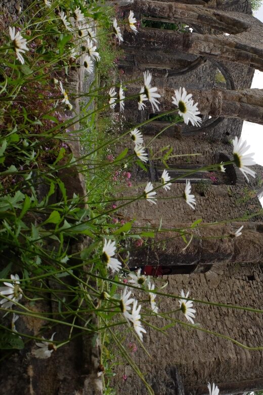 Dartmoor: Hound of the Baskervilles Experience - Including and Excluding What Matters