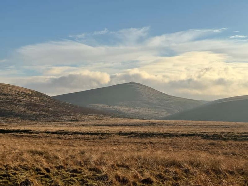 Dartmoor National Park: Half Day Guided Hiking Tour - Explore Dartmoor with a Guided Half-Day Hike in Devon