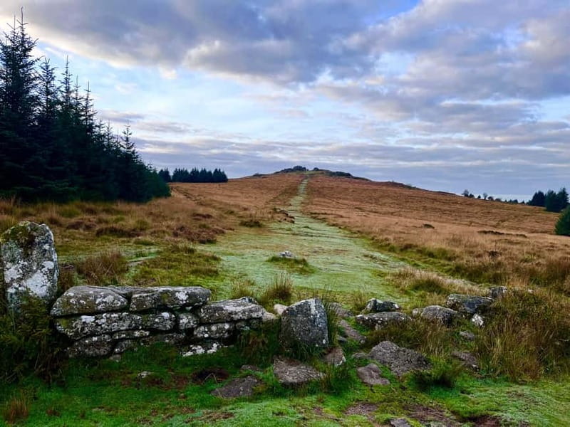 Dartmoor National Park: Half Day Guided Hiking Tour - Customization and Flexibility of the Tour Route