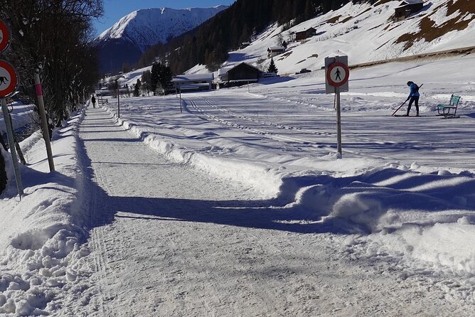 Davos - Private walking tour - Logistics: Flexibility and Ease of Participation